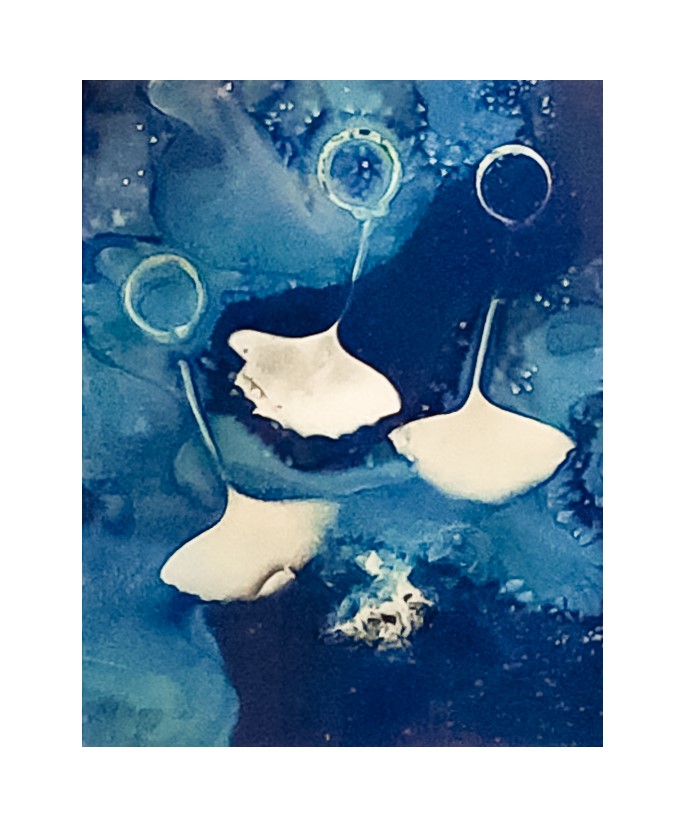 Image: Maggie HOLLINS, Untitled, 2021, cyanotype print. Courtesy of the artist.